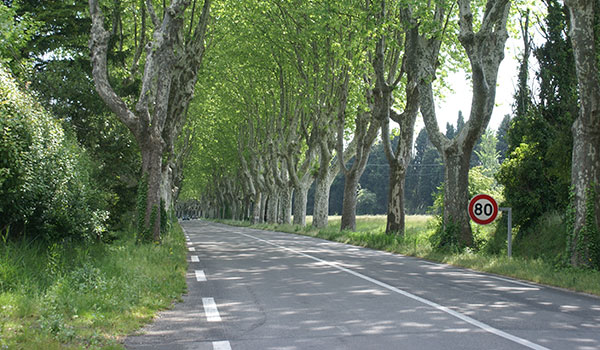 Location longue durée de votre véhicule